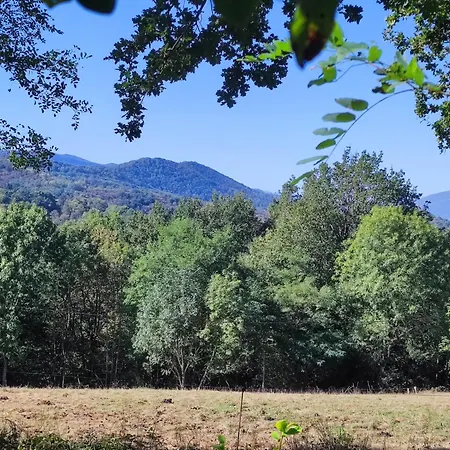 Alpstuga Petit Dans Le Coeur Des Pyrenees Ariegeoises *
